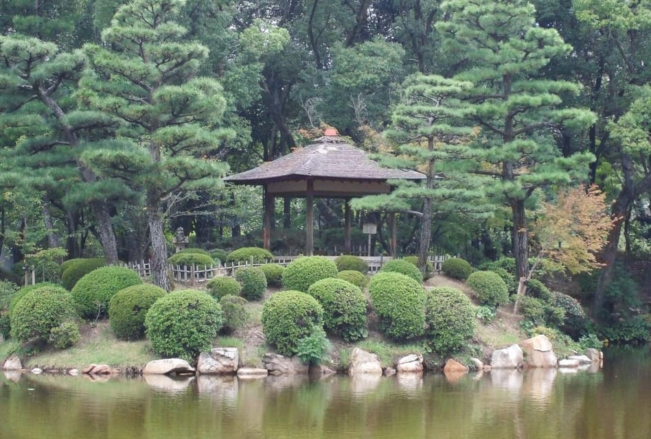 From Osaka/Kyoto: Hiroshima and Miyajima Private Tour - Experience and Insights