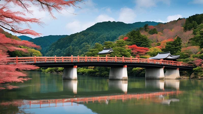 From Osaka:Nara Customizable Private Day Tour With English - Transportation Options