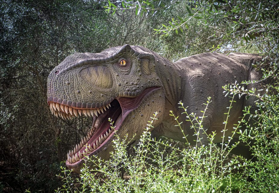 From Palma De Mallorca: Dinosaurland Tour - Tour Overview and Pricing