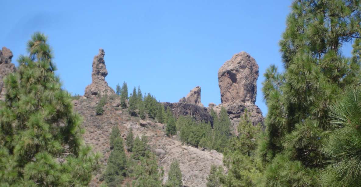 From Palmas: Pico De Las Nieves & Roque Nublo Full-Day Trip - Tour Overview