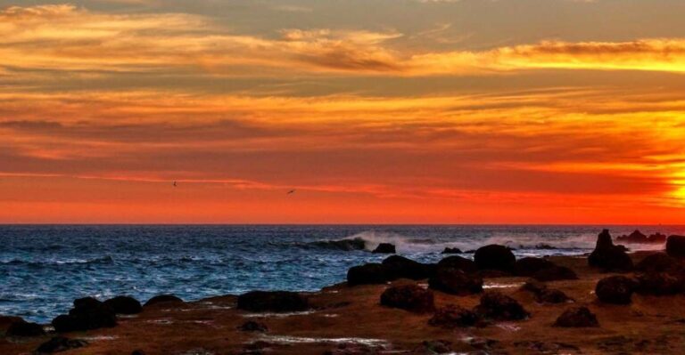 From Paracas-Sunset Trekking in the Paracas National Reserve