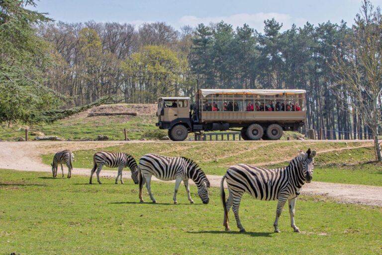 From Paris: Thoiry Park Safari and Castle Tour