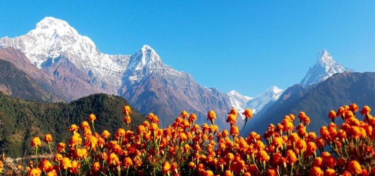 From Pokhara: 5-Day Poon-Hill & Ghandruk Himalayas Trek Tour