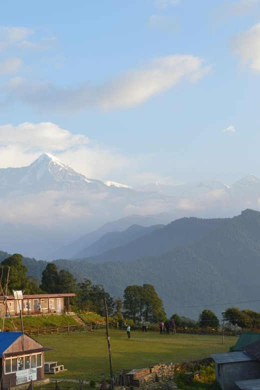 From Pokhara: Budget Day Hiking Australian Camp With Dhampus - Overview and Pricing