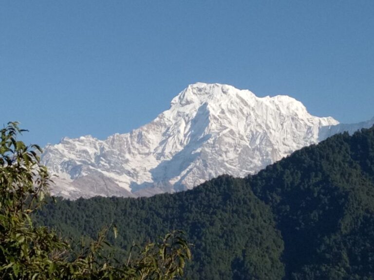 From Pokhara: Short Trek 1 Night 2 Days Dhampus Trek