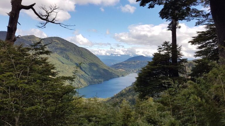 From Pucón: Huerquehue National Park Hiking Tour