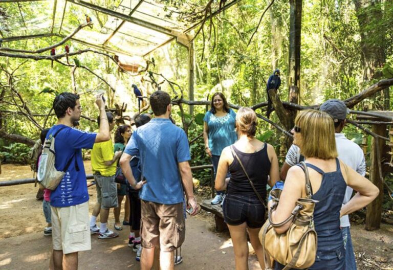 From Puerto Iguazú: Brazilian Bird Park Tour With Tickets