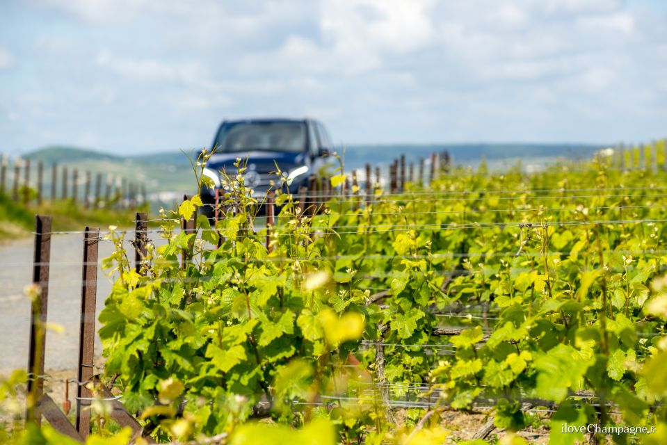 From Reims: Champagne and Family-Run Wineries Tour - Tour Overview