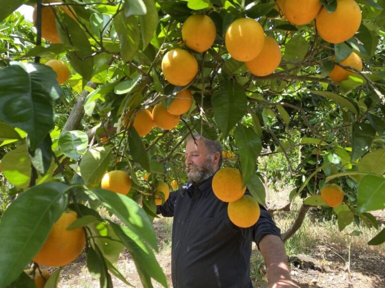 From Rethymno: the Cretan Way of Life in the Mountains