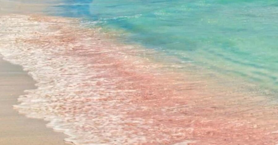 From Rethymno: Trip to Balos Lagoon and Elafonisi Pink Beach