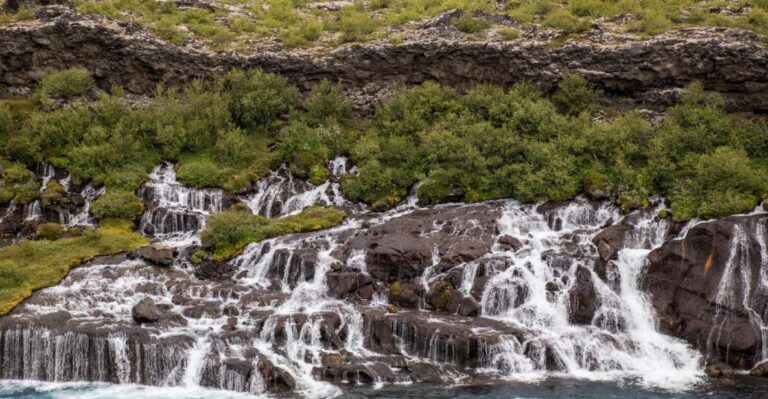 From Reykjavik: Borgarfjordur Private Day Trip