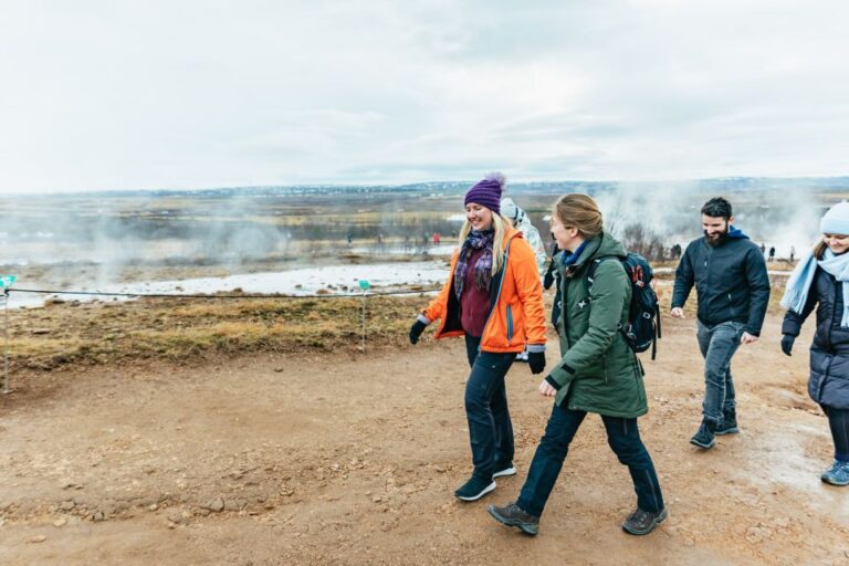 From Reykjavik: Golden Circle and Glacier Snowmobile Tour