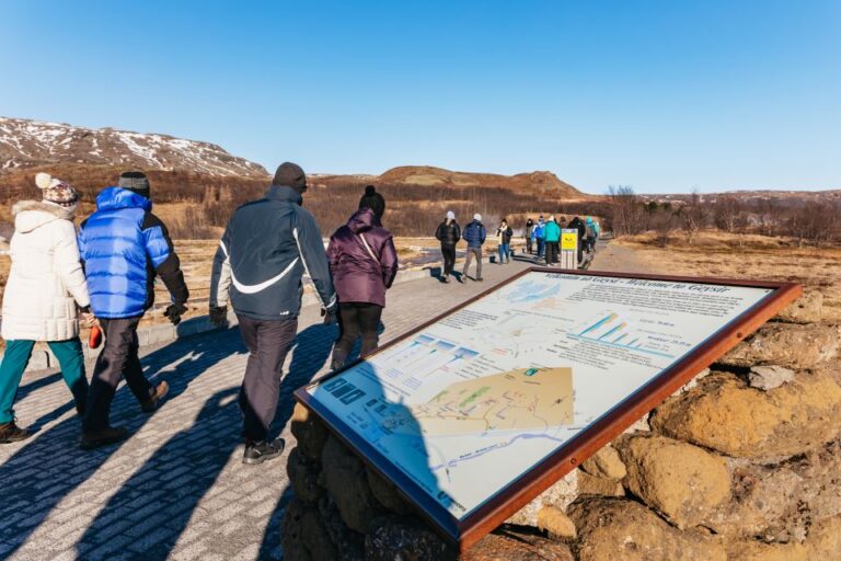 From Reykjavik: Golden Circle and Glacier Snowmobiling