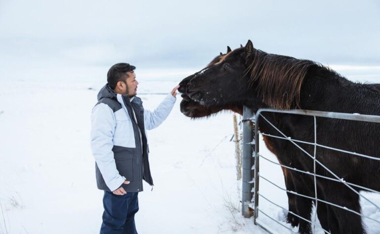 From Reykjavik: Golden Circle Private Tour & Photographs