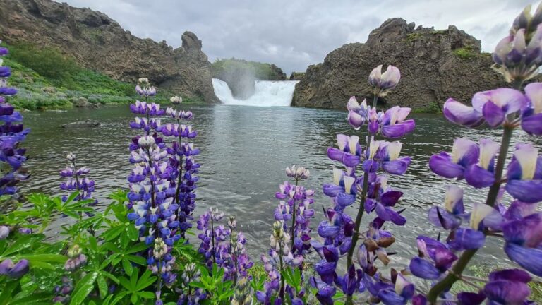 From Reykjavik: Highlands Jeep Tour & Landmannalaugar Hike