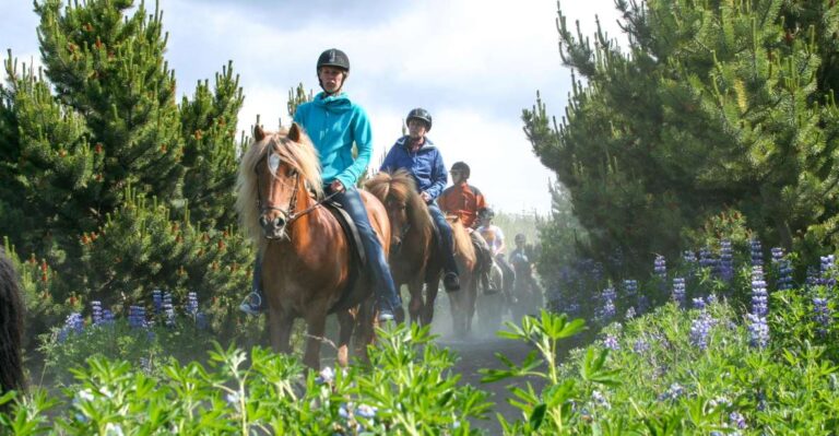 From Reykjavík: Icelandic Horse Riding Tour in Lava Fields