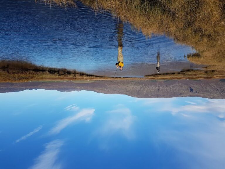 From Reykjavik: Lake and River Fishing Tour