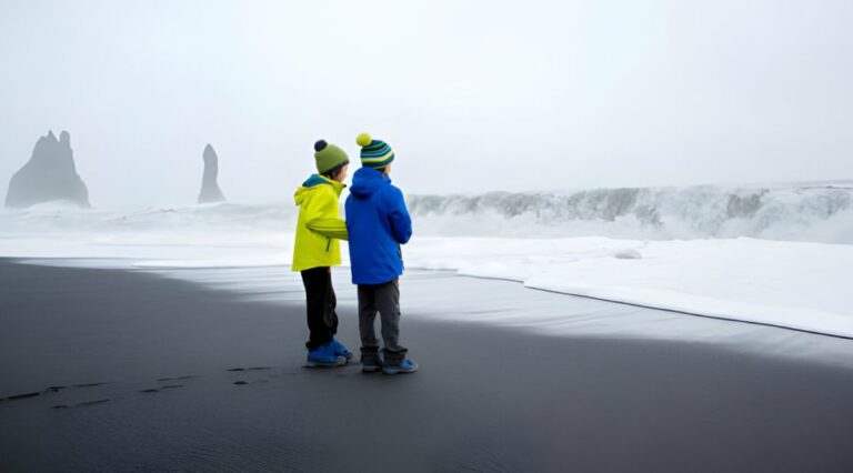 From Reykjavik: Private South Coast Tour in Iceland