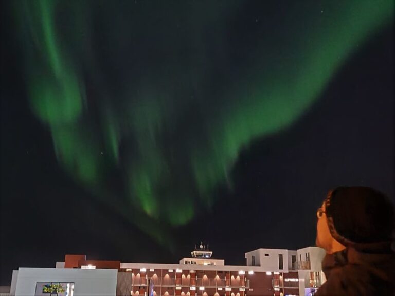 From Reykjavík: Spot the Northern Lights With Snacks & Drink