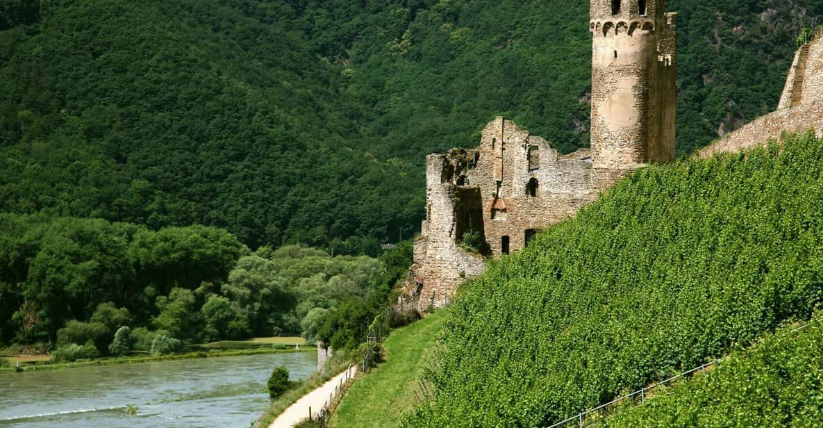 From Rüdesheim: 1.5-Hour Boat Cruise With Wine Tasting - Activity Overview