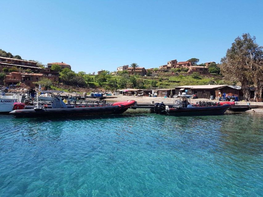 From Sagone/Cargèse: Capo Rosso, Piana & Scandola Boat Tour - Tour Overview and Pricing