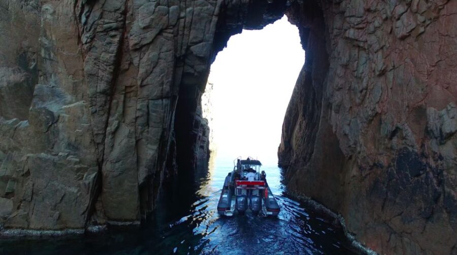 From Sagone: Sightseeing Cruise of Corsica Island - Activity Overview