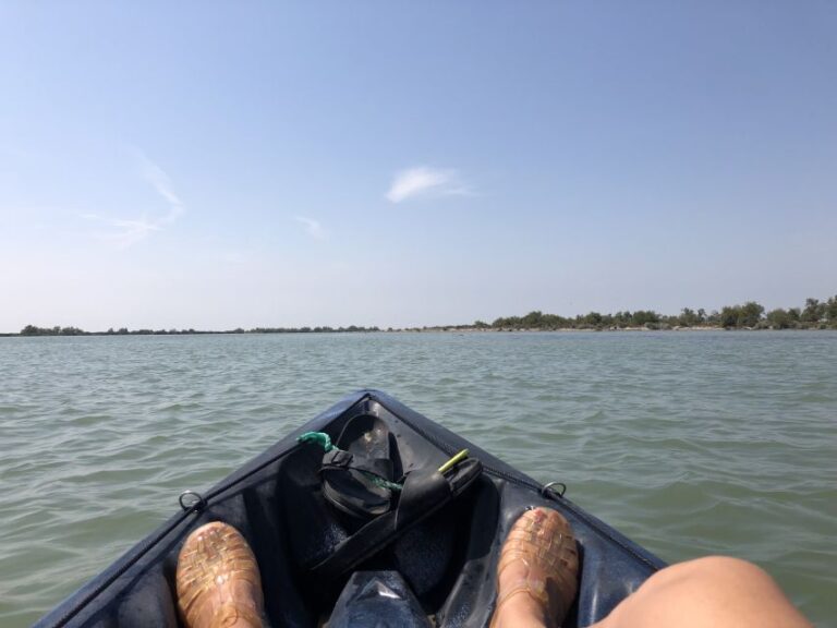 From Saintes Maries De La Mer: Safari and Canoeing