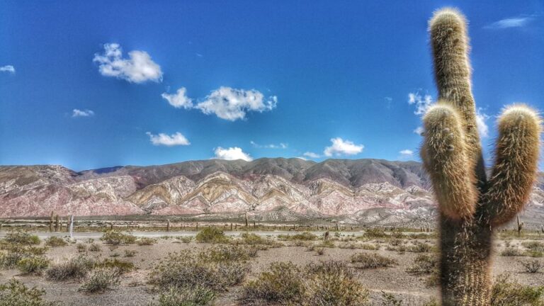 From Salta: Day Trip to Cachi and the Calchaquí Valleys