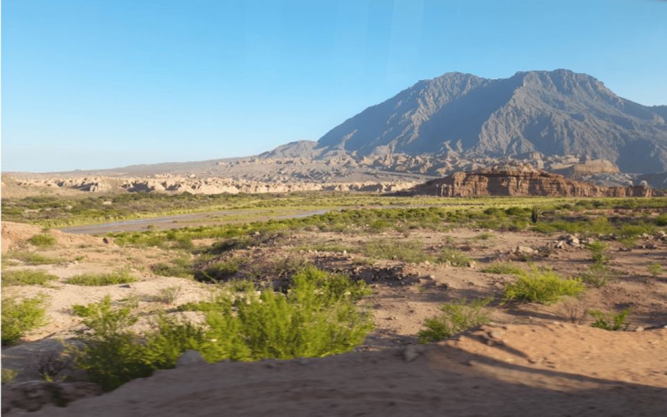 From Salta: Full-Day Excursions Through Cafayate and Cachi - Itinerary Highlights