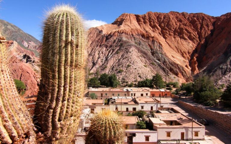 From Salta: Full-Day Tours of Cafayate and Salinas Grandes