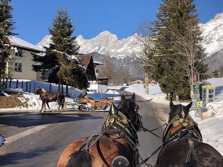 From Salzburg: 8-Hour Tour With Horse-Drawn Sleigh Ride