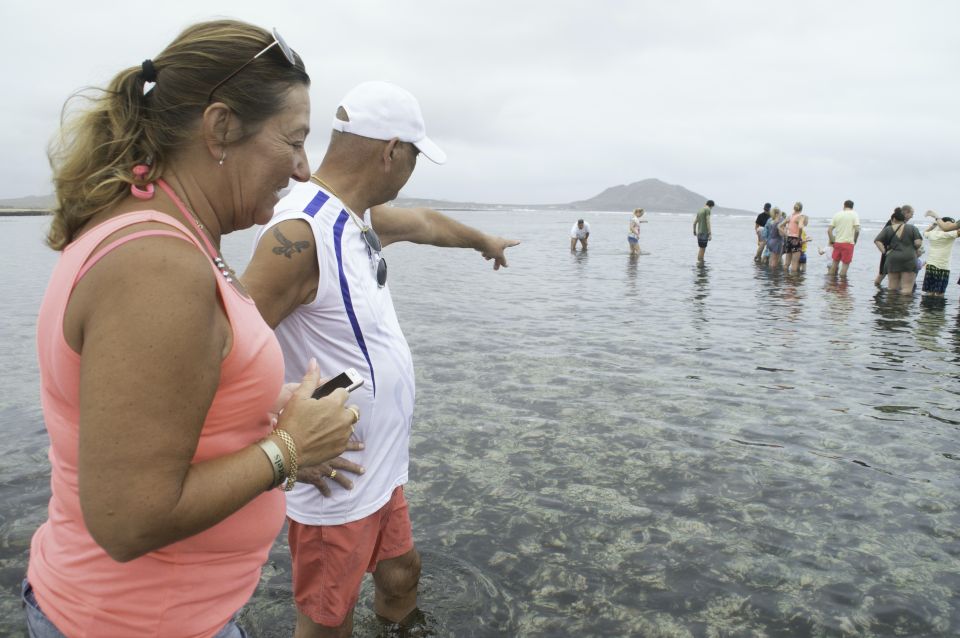 From Santa Maria: Guided Lemon Shark Watching - Itinerary