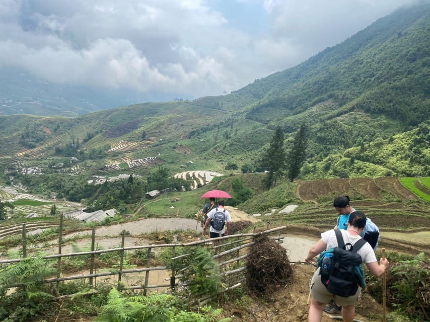 From Sapa - 1D Trek: Walk Through Bamboo Forest With Lunch - Overview and Pricing