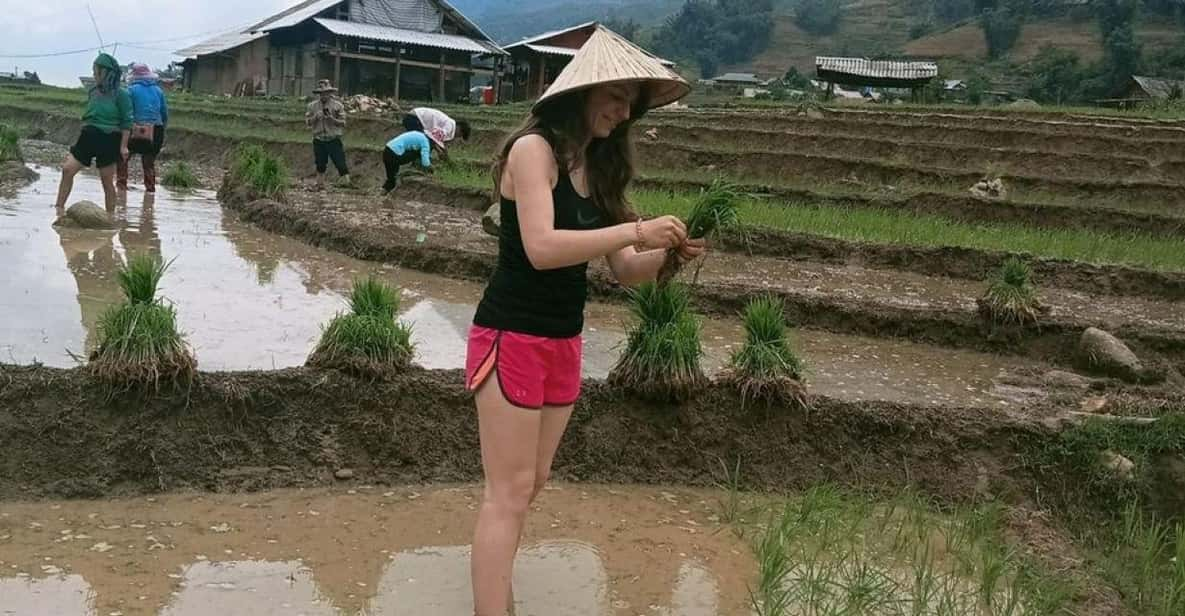 From Sapa: Trek 2 Day - Rice Terrace - Homestay in Ta Van - Tour Overview and Pricing