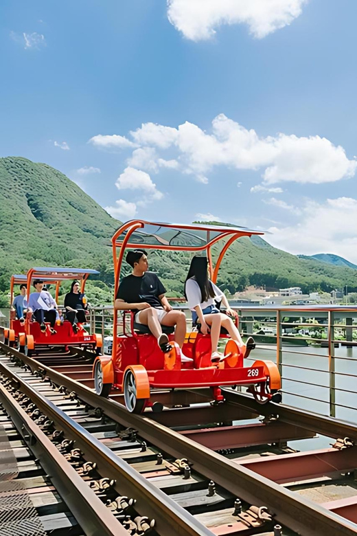 From Seoul: Alpaca Farm With Rail Bike/ Luge Racing - Participant Age and Ride Restrictions