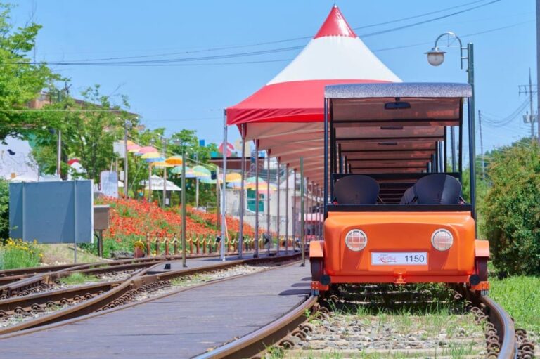 From Seoul: Mt. Unak-Suspension Bridge/Nami(+Rail Bike) Tour