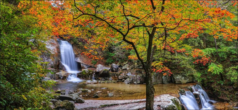 From Seoul: Seoraksan Maple Mountain With Cable Car