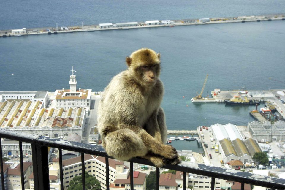 From Seville: Day Trip to Gibraltar - Trip Overview