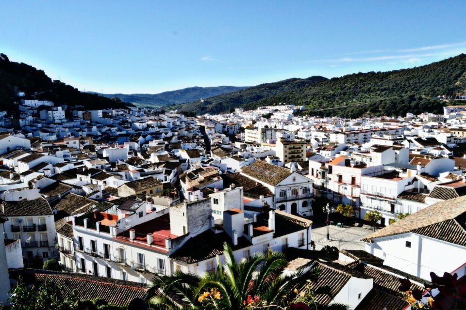 From Seville: White Villages Tour - Tour Overview