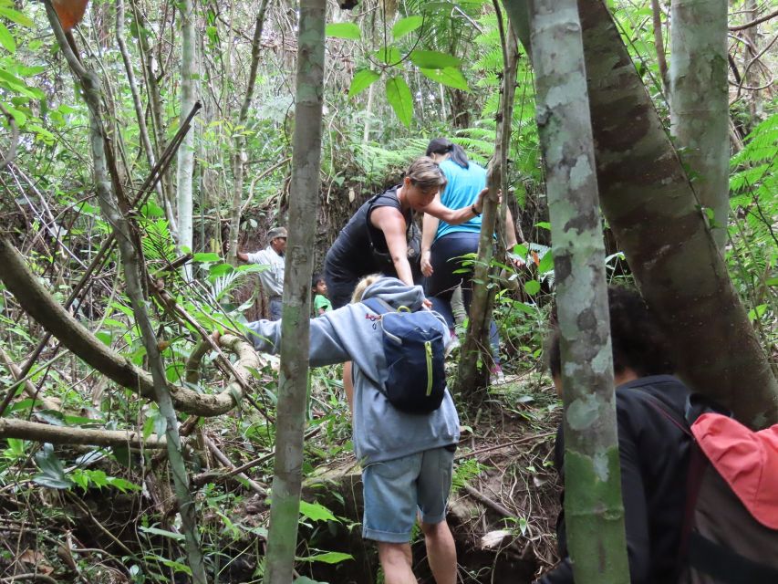 From Siem Reap: Phnom Kulen National Park Trekking Tour - Tour Overview