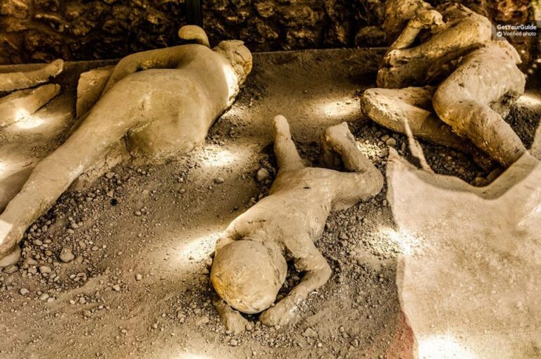 From Sorrento Cruise Terminal: Half-Day Pompeii Guided Tour