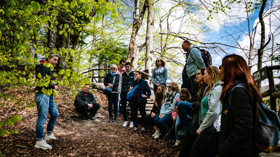 From Split: Plitvice Lakes Guided Tour - Tour Overview