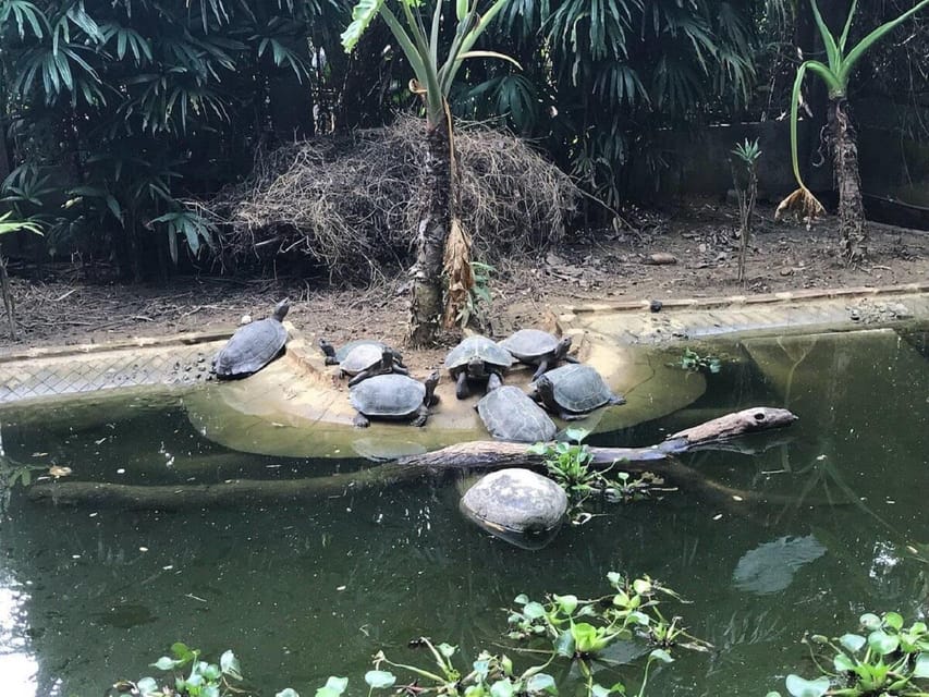 From Tam Coc/Ninh Binh: Cuc Phuong National Park Day Trip - Trip Overview and Pricing