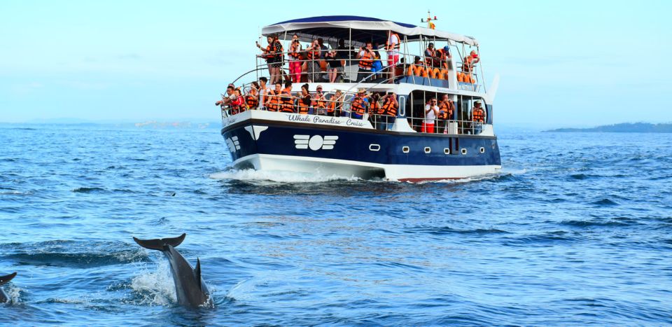 From Tangalle: Mirissa Whale Watching Tour With Breakfast - Overview and Pricing