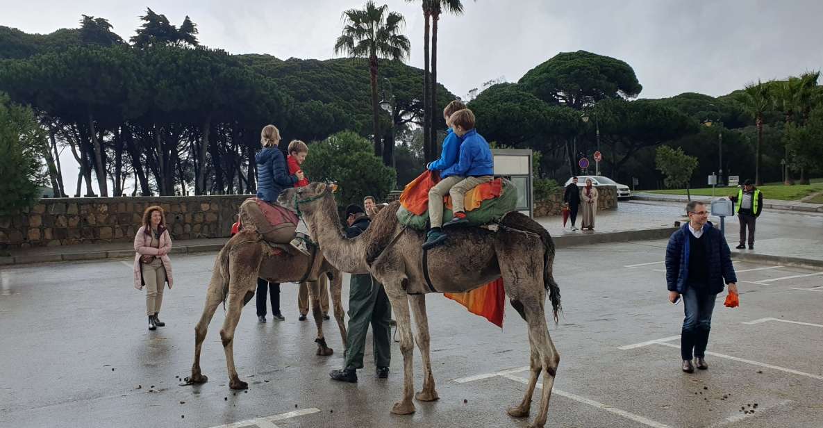 From Tarifa: Tangier Day Tour With Bazaar Shopping and Lunch - Tour Overview