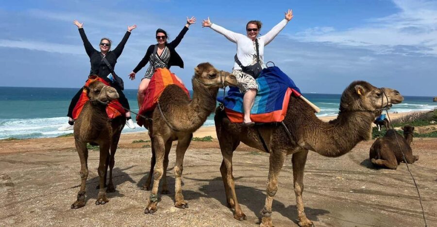 From Tarifa: Tangier Full Day Trip With Ferry Tickets