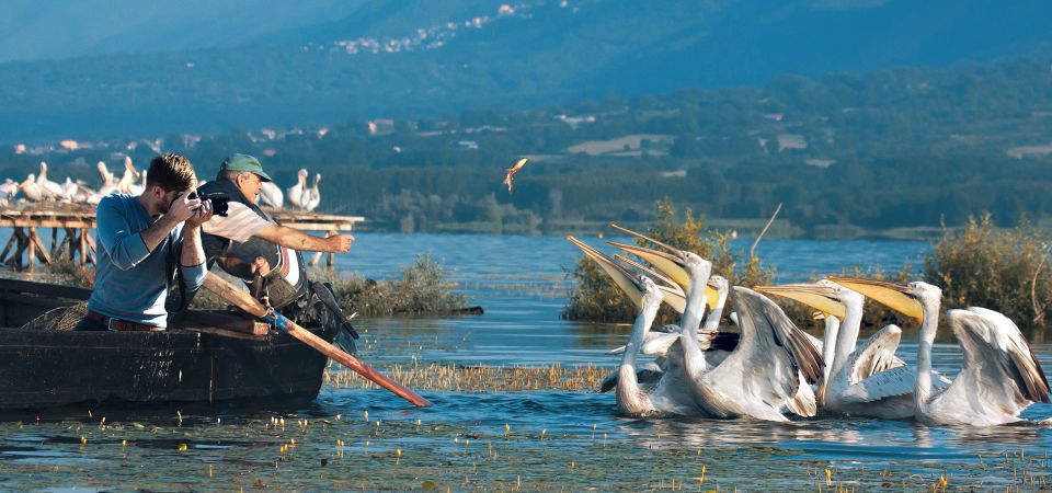 From Thessaloniki: Private Day Trip to Kerkini Lake - Trip Overview