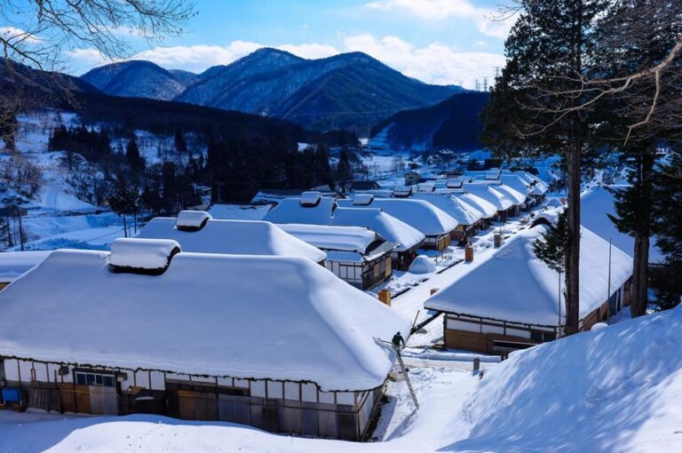 From Tokyo: Ginzan Onsen, Zao Snow Monsters 2-Day Tour