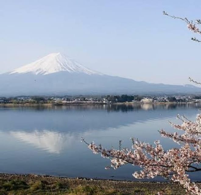 From Tokyo: Mount Fuji Day Trip - Tour Overview