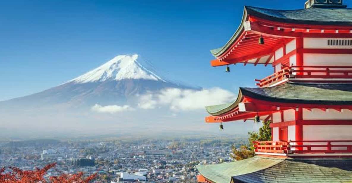 From Tokyo: Mount Fuji Full Day Private Tours English Driver - Pricing and Group Size